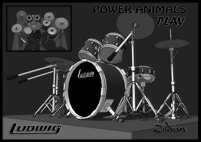 Power Animals Drums